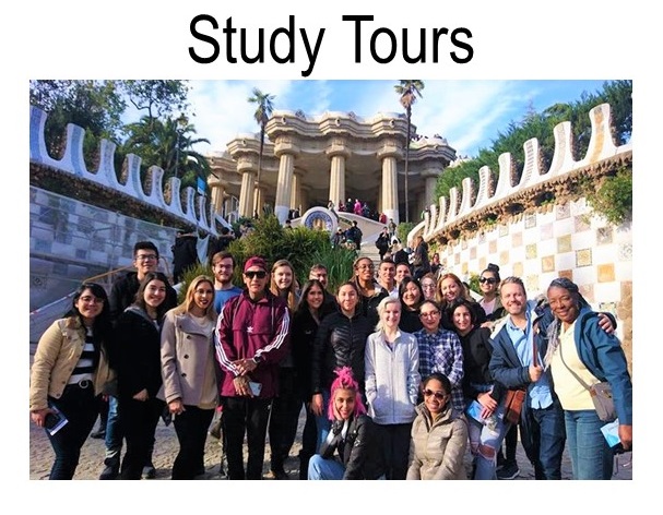 my study tours login